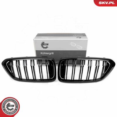 ESEN SKV 66SKV210 Schwarzer Kühlergrill - Radiator Grill ESEN SKV 66SKV210 Schwarzer Kühlergrill - Radiator Grill