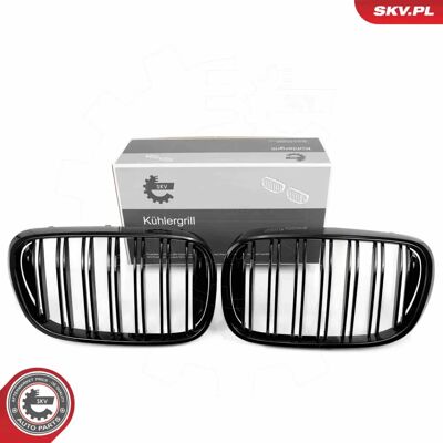 ESEN SKV 66SKV223 Svart högglans BMW 3-serie radiatorgrill ESEN SKV 66SKV223 Svart högglans BMW 3-serie radiatorgrill