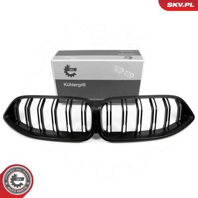 BMW 66SKV229 Kühlergrill - OEM Kompatibel, Matt Schwarz, Einfache Montage BMW 66SKV229 Kühlergrill - OEM Kompatibel, Matt Schwarz, Einfache Montage