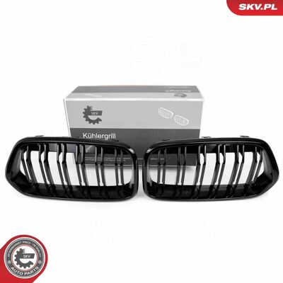 BMW X2 Schwarze Glanz OEM Kühlergrill - Kühlergrill BMW X2 Schwarze Glanz OEM Kühlergrill - Kühlergrill