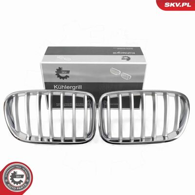 ESEN SKV 66SKV251 Chrome Radiator Grill - Car Part ESEN SKV 66SKV251 Chrome Radiator Grill - Car Part