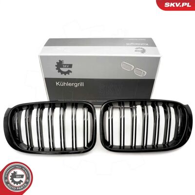 ESEN SKV 66SKV255 Svart BMW Radiatorgrill - Radiator Grill ESEN SKV 66SKV255 Svart BMW Radiatorgrill - Radiator Grill