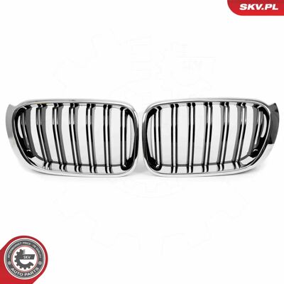 ESEN SKV 66SKV256 Griglia Radiatore Cromo/Nero - Griglia Radiatore per BMW X3 X4 ESEN SKV 66SKV256 Griglia Radiatore Cromo/Nero - Griglia Radiatore per BMW X3 X4