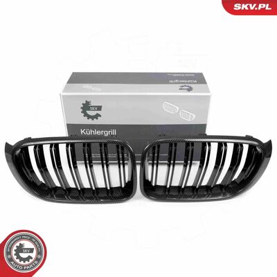 ESEN SKV 66SKV259 Griglia Radiatore in Carbonio - Radiator Grill ESEN SKV 66SKV259 Griglia Radiatore in Carbonio - Radiator Grill