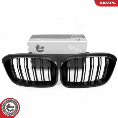 ESEN SKV 66SKV262 Matte Black Radiator Grill - Radiator Grill ESEN SKV 66SKV262 Matte Black Radiator Grill - Radiator Grill