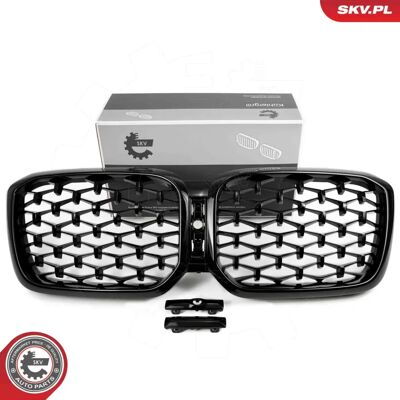 ESEN SKV 66SKV269 BMW Radiator Grill - X3 ESEN SKV 66SKV269 BMW Radiator Grill - X3