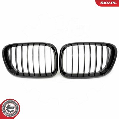 ESEN SKV 66SKV270 Griglia radiatore nera lucida BMW X5 ESEN SKV 66SKV270 Griglia radiatore nera lucida BMW X5