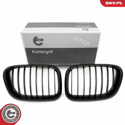 ESEN SKV 66SKV271 Mat Zwarte Radiateurrooster voor BMW X5 ESEN SKV 66SKV271 Mat Zwarte Radiateurrooster voor BMW X5
