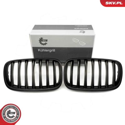 Rejilla de radiador ESEN SKV 66SKV284 - BMW X5 Rejilla de radiador ESEN SKV 66SKV284 - BMW X5