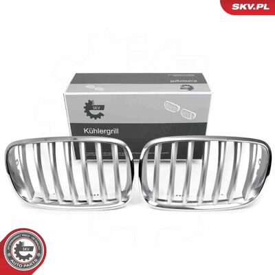 ESEN SKV X5 Chroom Radiator Grill - Radiator Grill OEM BMW ESEN SKV X5 Chroom Radiator Grill - Radiator Grill OEM BMW