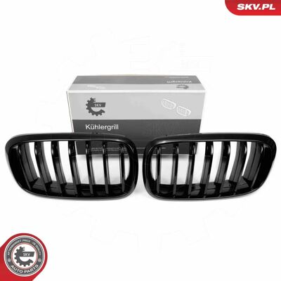 ESEN SKV 66SKV294 Parrilla del Radiador Negra Brillante - Parrilla del Radiador ESEN SKV 66SKV294 Parrilla del Radiador Negra Brillante - Parrilla del Radiador