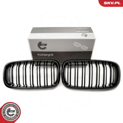 ESEN SKV 66SKV296 Griglia radiatore nera lucida BMW X5 - Griglia radiatore ESEN SKV 66SKV296 Griglia radiatore nera lucida BMW X5 - Griglia radiatore
