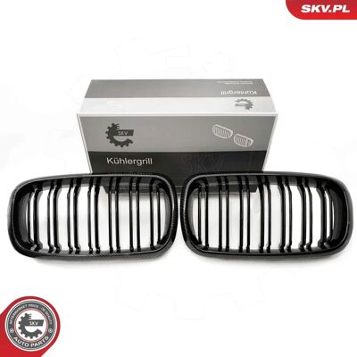 ESEN SKV 66SKV299 Carbon Radiator Grill - Radiator Grill ESEN SKV 66SKV299 Carbon Radiator Grill - Radiator Grill
