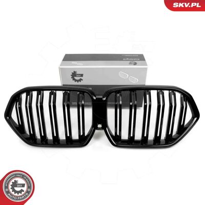 BMW 66SKV309 Grila de Radiator - OEM, Înaltă Calitate, Ușor de Instalată BMW 66SKV309 Grila de Radiator - OEM, Înaltă Calitate, Ușor de Instalată