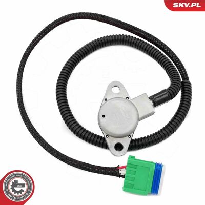 ESEN SKV 17SKV839 - Oljetryckssensor för Peugeot 207, 307, Renault Megane 2, Clio 2/3, Citroën Xsara Picasso ESEN SKV 17SKV839 - Oljetryckssensor för Peugeot 207, 307, Renault Megane 2, Clio 2/3, Citroën Xsara Picasso