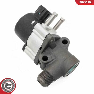 ESEN SKV 14SKV271 EGR-venttiili Nissanille - EGR-venttiili ESEN SKV 14SKV271 EGR-venttiili Nissanille - EGR-venttiili