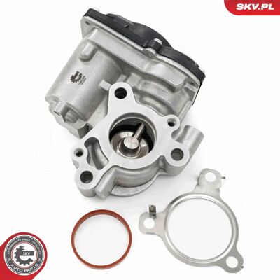 ESEN SKV 14SKV276 - EGR-Ventil für Renault, Dacia, Nissan, Mercedes-Benz, Fiat ESEN SKV 14SKV276 - EGR-Ventil für Renault, Dacia, Nissan, Mercedes-Benz, Fiat
