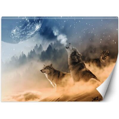 Feeby Murale Forêt de Loups - 350x245 - Publicité Feeby Murale Forêt de Loups - 350x245 - Publicité