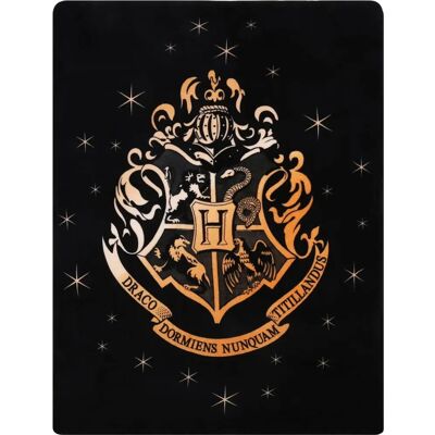 Warner Bros Harry Potter Polar Pléd - Pléd Warner Bros Harry Potter Polar Pléd - Pléd