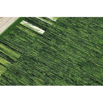 Dywany Łuszczów ADAGIO Runner green anti-slip 80x280cm Dywany Łuszczów ADAGIO Runner green anti-slip 80x280cm