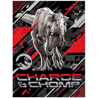 Jurassic World Jurassic Park fleece deken - 130x170cm - Veelkleurig Jurassic World Jurassic Park fleece deken - 130x170cm - Veelkleurig