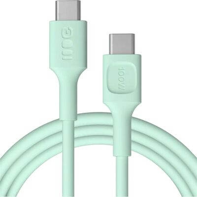 Greencell GC KAB100PF200MG - Câble USB-C 2m - Vert menthe - Charge rapide - Publicité Greencell GC KAB100PF200MG - Câble USB-C 2m - Vert menthe - Charge rapide - Publicité