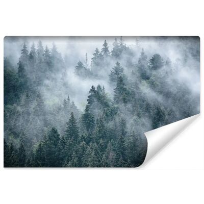 Karo-art Mistig bos behang - 450x300cm Karo-art Mistig bos behang - 450x300cm