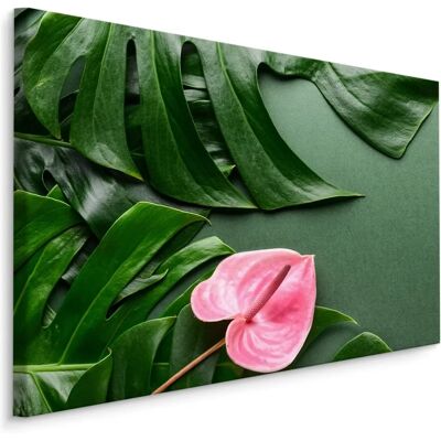 DOBOXA Roze Monstera Doekschilderij - 70x50 cm DOBOXA Roze Monstera Doekschilderij - 70x50 cm