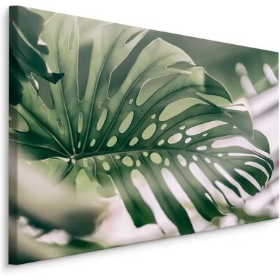 Karo-art Muurschilderij Monstera - 70x50cm - Groen - Premium Print Karo-art Muurschilderij Monstera - 70x50cm - Groen - Premium Print