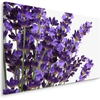 DOBOXA Lavendel Canvas Schilderij - 90x60 cm DOBOXA Lavendel Canvas Schilderij - 90x60 cm