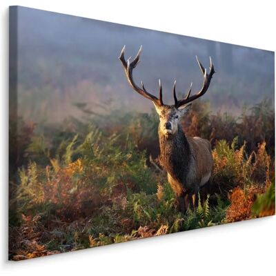 DOBOXA Boshert Canvas Schilderij - 70x50 cm DOBOXA Boshert Canvas Schilderij - 70x50 cm