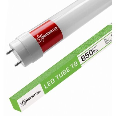 Spectrum T8-60 - LED-Röhre, 8,5W, 60cm, Warm - LED-Röhre Spectrum T8-60 - LED-Röhre, 8,5W, 60cm, Warm - LED-Röhre