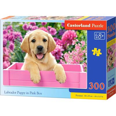 Castorland Labrador Puppy - Roze Doos Puzzel - 300 stuks Castorland Labrador Puppy - Roze Doos Puzzel - 300 stuks