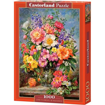 Castorland June Flowers in Radiance - 1000-delige Puzzel Castorland June Flowers in Radiance - 1000-delige Puzzel