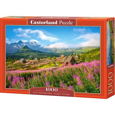 Castorland Hala Gąsienicowa - 1000 Stück Landschaft Puzzle Castorland Hala Gąsienicowa - 1000 Stück Landschaft Puzzle