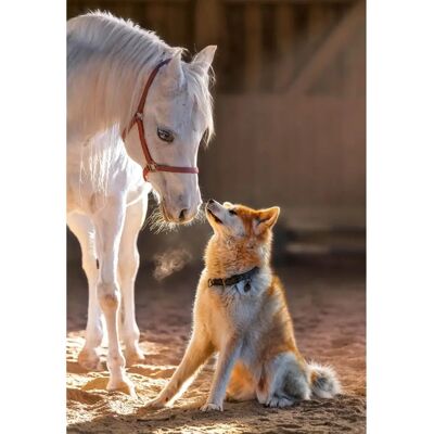 CASTOR Puzzle Cheval Chien Amitié - Puzzle - Publicité CASTOR Puzzle Cheval Chien Amitié - Puzzle - Publicité