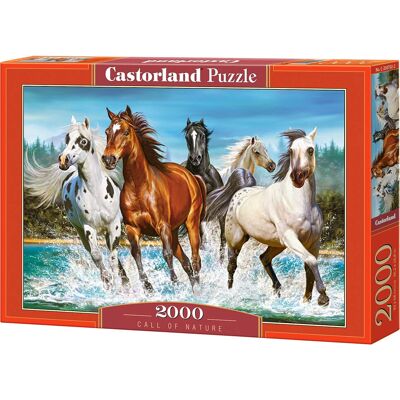 Castorland Výzva přírody 2000 dílků Puzzle - Téma zvířat Castorland Výzva přírody 2000 dílků Puzzle - Téma zvířat
