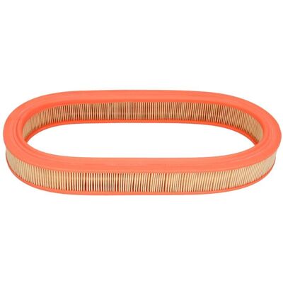 Filtron AE 250 Luftfilter - Passagerarebil Filtron AE 250 Luftfilter - Passagerarebil