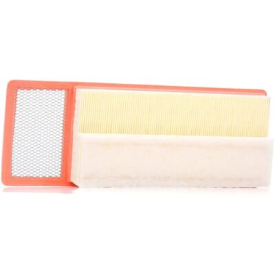 Filtron A63536 - Filtro - Plastica ad alta trasparenza per composizioni floreali Filtron A63536 - Filtro - Plastica ad alta trasparenza per composizioni floreali