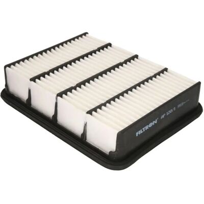 Filtron AP 120/1 - Luftfilter Filtron AP 120/1 - Luftfilter