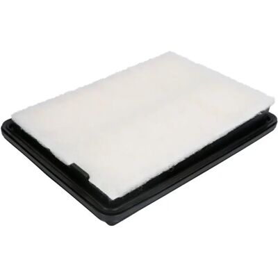 Filtron AP 124/3 Luftfilter - Luftfilter Filtron AP 124/3 Luftfilter - Luftfilter
