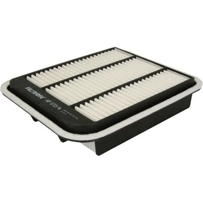 Filtron AP 172/4 - Luftfilter til Mitsubishi Grandis Filtron AP 172/4 - Luftfilter til Mitsubishi Grandis
