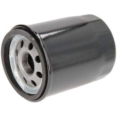 Filtron OP 595/4 Ölfilter - Passend für Toyota, Subaru Filtron OP 595/4 Ölfilter - Passend für Toyota, Subaru