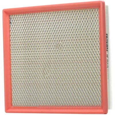 Filtron Luftfilter AP 152/5 - Luftfilter Filtron Luftfilter AP 152/5 - Luftfilter