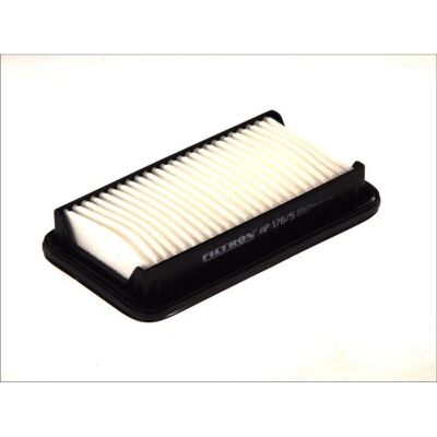 Filtron AP 176/5 - Luftfilter Filtron AP 176/5 - Luftfilter