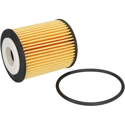 Filtron Ölfilter OE 667/6 - Ölfilter für Citroën-Modelle Filtron Ölfilter OE 667/6 - Ölfilter für Citroën-Modelle