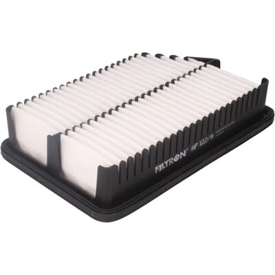 Filtron AP 122/9 Luftfilter - Luftfilter Filtron AP 122/9 Luftfilter - Luftfilter