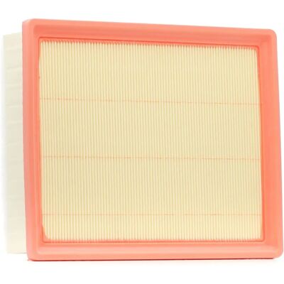 Filtro aria Filtron AP 137/9 - Fiat, Nissan NV300, Compatibile Filtro aria Filtron AP 137/9 - Fiat, Nissan NV300, Compatibile