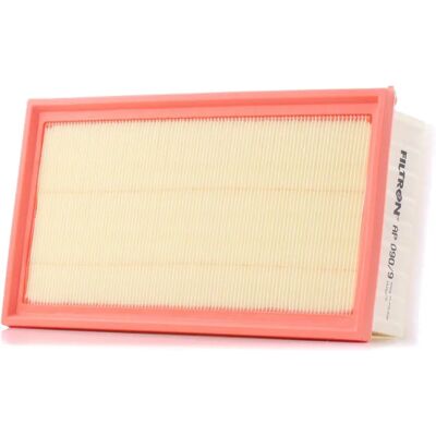 Filtro aria Filtron AP 090/9 - Filtro aria Filtro aria Filtron AP 090/9 - Filtro aria
