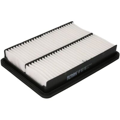 Filtron AP 107/10 Luftfilter - Hyundai Santa Kia Sorento Filtron AP 107/10 Luftfilter - Hyundai Santa Kia Sorento